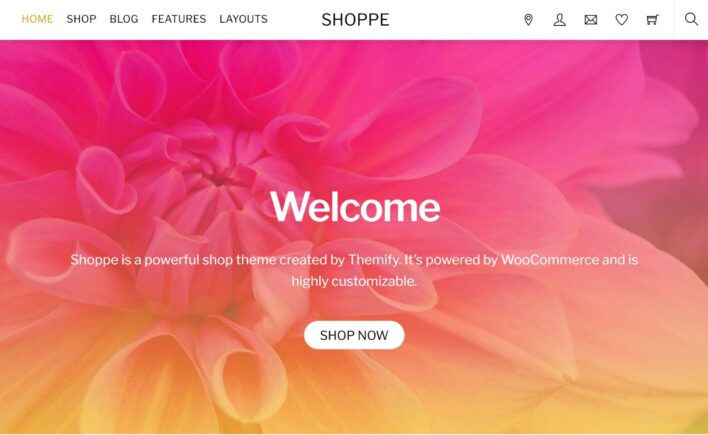 The main Shoppe theme demo site