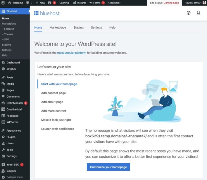 Bluehost customize the WordPress dashboard (but you can turn it off).